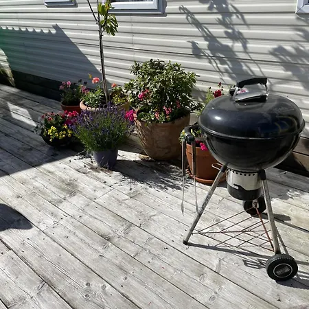 Summer House On The Dutch Coast *